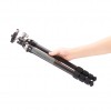 Leofoto RD-224C + LH25
